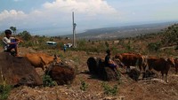 Dari pusat Kota Mataram, desa ini berjarak sekitar 95 km, bisa ditempuh melalui jalur darat selama tiga jam. Diakhir perjalanan, jalan ke desa ini cukup terjal dan berbatu. Pool/PLN.