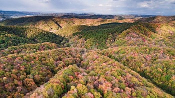 ‘Multicolored Octopus’ karya fotografer Rucca Y Ito kategori Aerials. Foto alam gunung cantik ini diambil di Hokkaido, Jepang. Foto: National Geographic