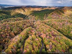 Karya Memukau Finalis Natgeo Nature 2017