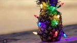 Nanas Kini Jadi Pilihan Trendi Pengganti Cemara untuk Pohon Natal