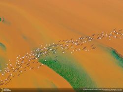 Karya Memukau Finalis Natgeo Nature 2017