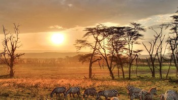 ‘The Sunset of Lake Naivasha’ karya fotografer Jacky Siu kategori Landscape. Foto pemandangan sunset di danau Naivasha, Kenya. Foto: National Geographic