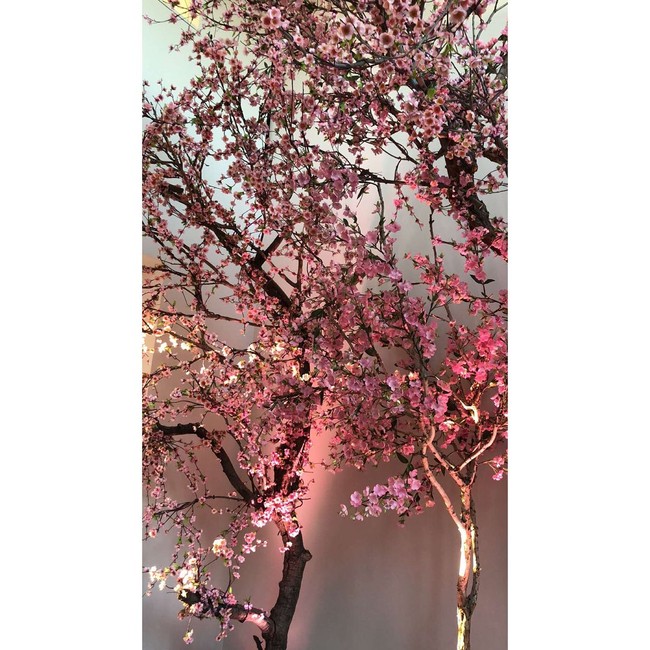 Keluarga Kardashian dikenal senang membuat pesta tematik, termasuk untuk baby shower kali ini yang kental dengan nuansa Asia sebagai tema besarnya. Foto: Dok. Instagram