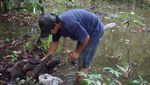Foto: Melihat Hutan Kota Srengseng yang Akan Jadi Hutan Wisata
