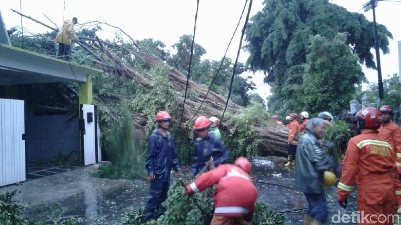 Timpa Rumah, Pohon Tumbang di Kompleks Setneg Baru Masih Dievakuasi Timpa Rumah, Pohon Tumbang di Kompleks Setneg Baru Masih Dievakuasi