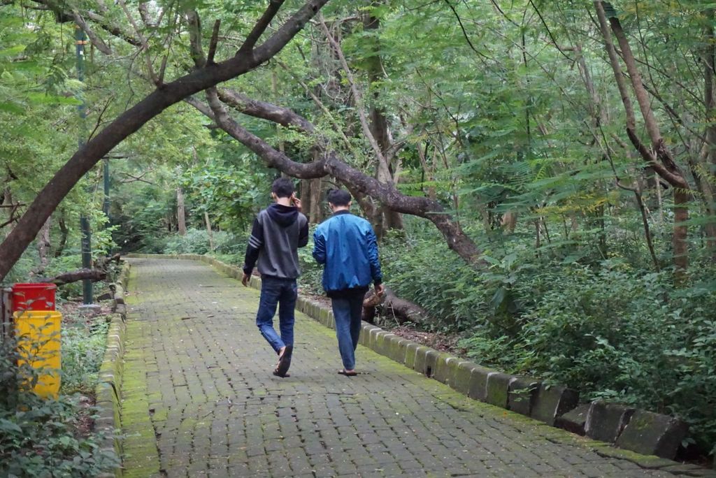 Hutan Kota Srengseng, Jakarta Barat, diusulkan untuk menjadi tujuan wisata. Namun, pemerintah harus mengubah wajah hutan kota agar menarik minat wisatawan.