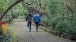 Foto: 10 Tren Wisata Tahun 2018 Versi Pinterest