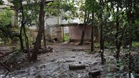 Hutan kota ini sudah disediakan jalur untuk berjalan. Namun, jalan tersebut licin dengan lumut. (Foto: Arief Ikhsanudin/detikcom)