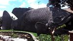 Wisata Kuliner dan Edukasi di Kampung Gurami