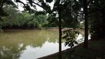 Foto: Melihat Hutan Kota Srengseng yang Akan Jadi Hutan Wisata