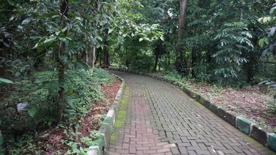 Foto: Melihat Hutan Kota Srengseng yang Akan Jadi Hutan Wisata