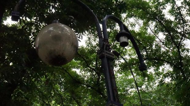 Lampu taman di hutan itu sudah rusak. 