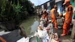 Pasukan Oranye Berjibaku Bikin Tanggul di Jatipadang
