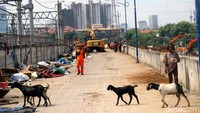 Begini saat wilayah itu terlihat mulai rapi. Foto: Grandyos Zafna