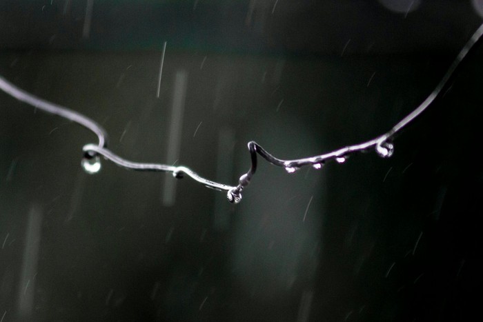 Jakarta Diguyur Hujan Deras dan Angin Kencang