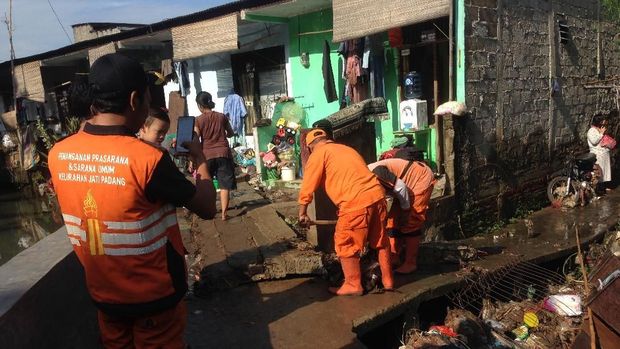 Reruntuhan tanggul jebol ini akan digunakan sebagai tanggul sementara.
