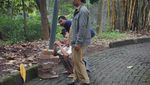 Foto: Melihat Hutan Kota Srengseng yang Akan Jadi Hutan Wisata