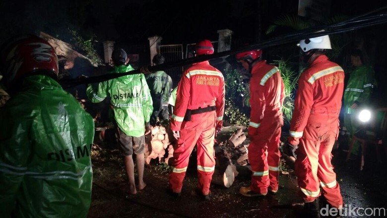 Pohon Beringin yang Tumbang di Kompleks Setneg Baru Masih Dievakuasi Pohon Beringin yang Tumbang di Kompleks Setneg Baru Masih Dievakuasi