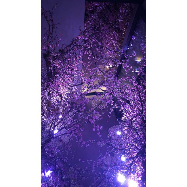 Bunga sakura menjadi dekorasi utama yang mendominasi ruangan pesta. Foto: Dok. Instagram