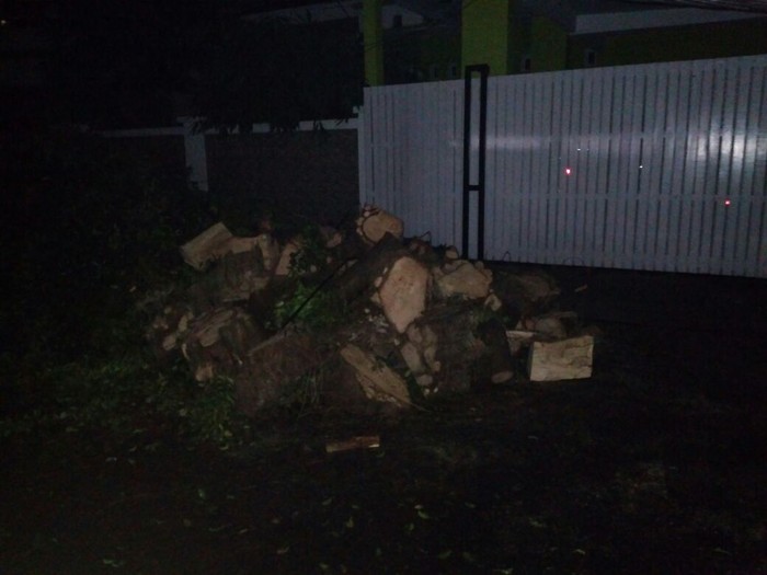 Evakuasi Pohon Tumbang di Kompleks Setneg Selesai