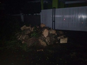 Evakuasi Pohon Tumbang di Kompleks Setneg Selesai