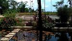 Wisata Kuliner dan Edukasi di Kampung Gurami