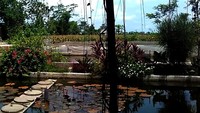Disini pengunjung disuguhi hamparan kolam gurami yang terbentang ditengah areal persawahan. Benar-benar natural, alam pedesaan.