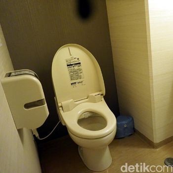 toilet