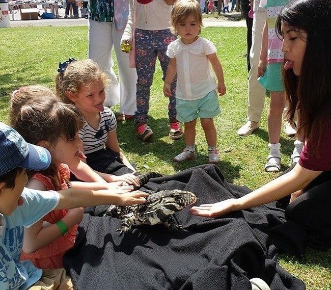 Emzotic awalnya adalah seorang edukator hewan. Ia beralih ke Youtube setelah mengalami keguguran dan merasa depresi. Foto: Instagram Emzotic