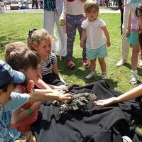 Emzotic awalnya adalah seorang edukator hewan. Ia beralih ke Youtube setelah mengalami keguguran dan merasa depresi. Foto: Instagram Emzotic