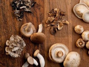 Antioksidan pada Jamur Terbukti Bisa Cegah Penuaan Dini
