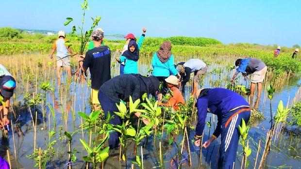 Bangun Startup Demi Lindungi Hutan Indonesia