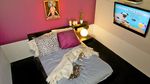 Foto: Hotel Khusus Buat Anjing
