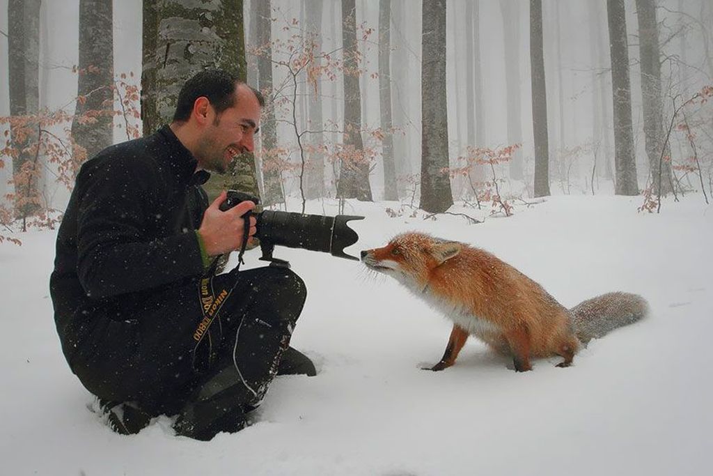 Kocak! Fotografer Alam Liar Dihibur Aksi Hewan Kepo