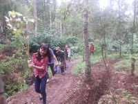 Bangun Startup Demi Lindungi Hutan Indonesia