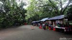 Hutan Kota Srengseng, Alternatif Wisata Alam Jakarta