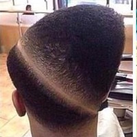 Rambut buntut tupai. Foto: Istimewa