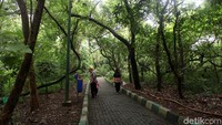 Hutan Kota Srengseng mudah dikunjungi dengan menggunakan transportasi umum. Hutan ini berada sekitar 300 meter dari halte Transjakarta Jalan Panjang, dan dari jalur sebaliknya tersedia angkutan kota nomor 24 dan bus Kopaja jurusan Blok M-Meruya.