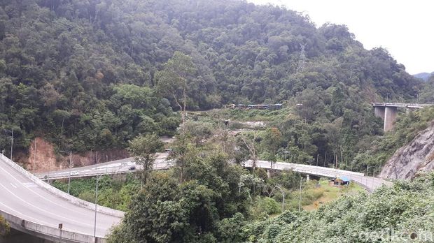 Suasana hijau nan sejuk dapat dirasakan (Chaidir/detikTravel)