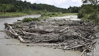 Salah satu permasalahan yang terjadi adalah kerusakan lingkungan di hulu yang berdampak sedimentasi dan sampah kayu yang dapat menggangu aliran air.