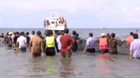 Mamalia ini terdampar di Pantai Ujong Kareng, Kecamatan Mesjid Raya, Aceh Besar, Aceh, pada Senin (13/11). (Foto: Dok. WWF Indonesia via BBC.com)
