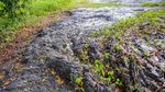 Foto: Danau Aneh yang Isinya Aspal