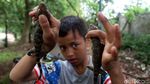 Hutan Kota Srengseng, Alternatif Wisata Alam Jakarta