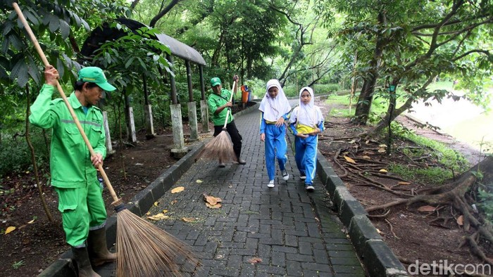 Hutan Kota Srengseng Alternatif Wisata Alam Jakarta Foto 2