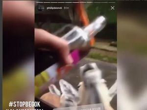 Pemberi Anggur Merah ke Kuda Nil Dijerat Pasal Penganiayaan Hewan