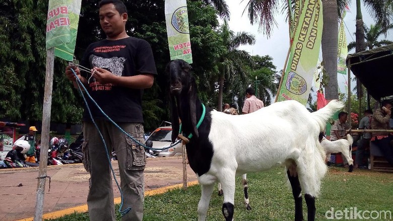 Dua Kali Juara Nasional, Via Vallen Pernah Ditawar Rp 35 Juta Dua Kali Juara Nasional, Via Vallen Pernah Ditawar Rp 35 Juta