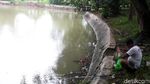 Hutan Kota Srengseng, Alternatif Wisata Alam Jakarta