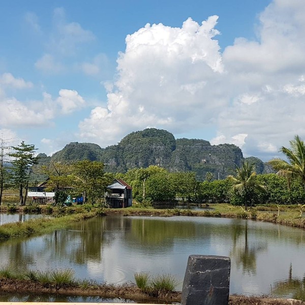 Kalau yang ini, Is Payung Teduh sedang pulang kampung. Ia memperlihatkan bentang alam yang cantik di perbatasan Pangkep-Maros (Dok. pusakata/Instagram) Kalau yang ini, Is Payung Teduh sedang pulang kampung. Ia memperlihatkan bentang alam yang cantik di perbatasan Pangkep-Maros (Dok. pusakata/Instagram)