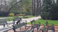 Burung-burung gagak berterbangan di seputar taman menandakan musim dingin segera tiba. Tak terbayangkan bila musim semi, taman penuh bunga warna-warni dan musik dari live concert menggema (Odilia/detikTravel)