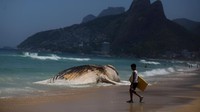 Warga melintasi paus yang mati dan terdampar di Pantai Ipanema, Brasil. 